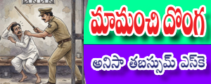 Maa manchi donga